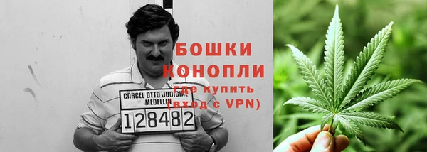 PSILOCYBIN Беломорск