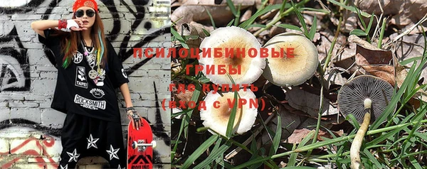 PSILOCYBIN Беломорск