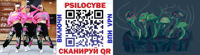 где можно купить наркотик  Болохово  Галлюциногенные грибы GOLDEN TEACHER 